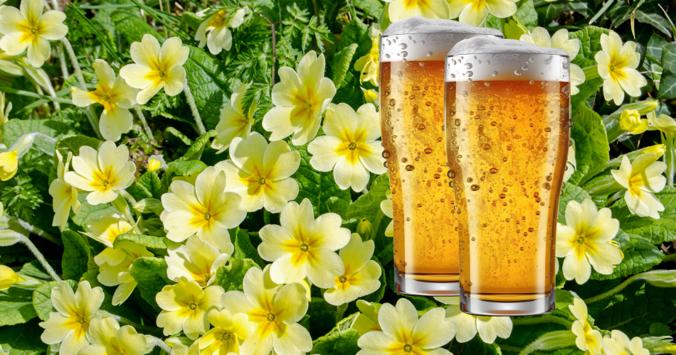 biere-printemps